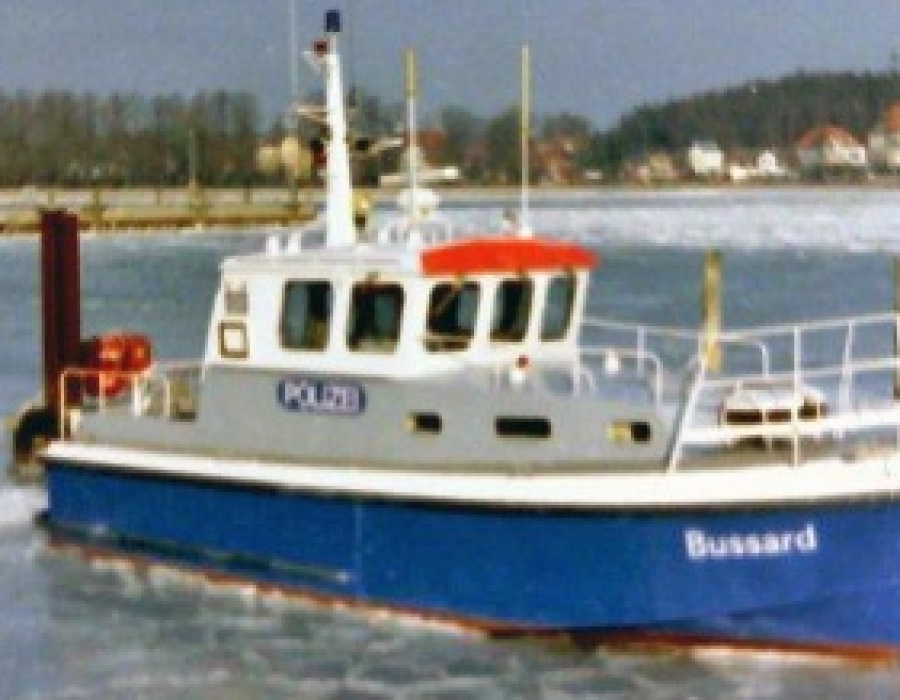 bussard2.png