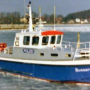 bussard2.png