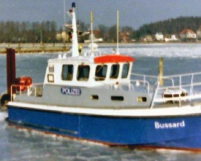 bussard2.png