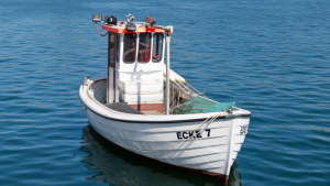 EEKHOLT EEKHOLT