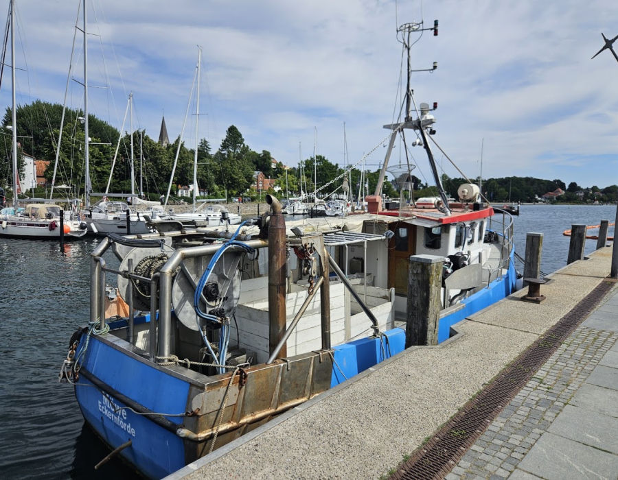 ecke_11_moewe_1_.jpg