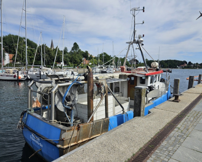 ecke_11_moewe_1_.jpg