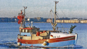 ERIK RASMUS ERIK RASMUS