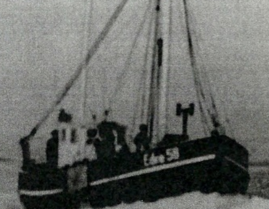 frischauf1.png