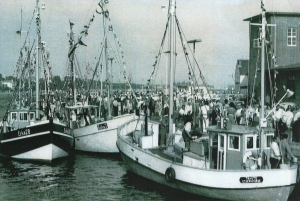 GERDA GERDA