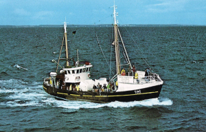 GUDRUN GUDRUN