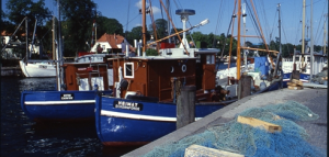 HEIMAT HEIMAT