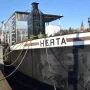 herta.webp