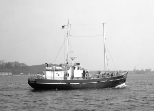 PETER VON DANZIG II PETER VON DANZIG II