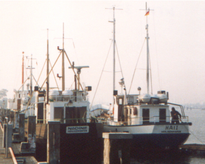 kfk_379_hai_i_.jpg