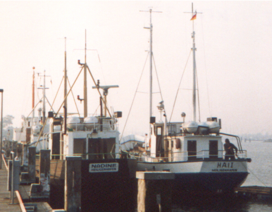 kfk_379_hai_i_.jpg