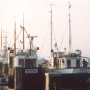 kfk_379_hai_i_.jpg