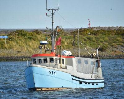 kirstenii.jpg