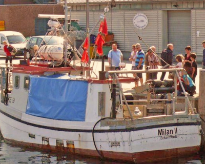 milanii1.png