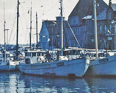 nordstern1.png