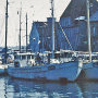 nordstern1.png