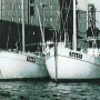nordstern2.png