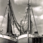 nordstern3.png