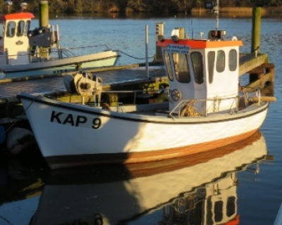 pommern.jpg
