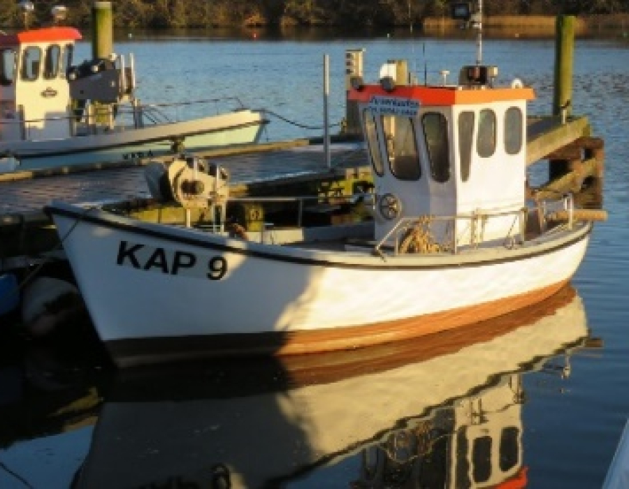 pommern.jpg