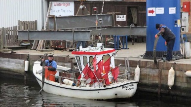 pommern.png