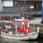 pommern.png