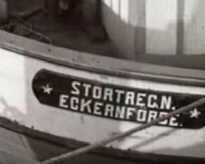 stoertregen.png