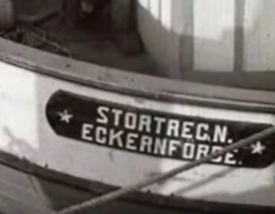 stoertregen.png
