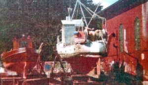 SVEN