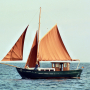 vivikauntersegeln.jpg