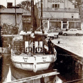 schwalbe_ii.jpg